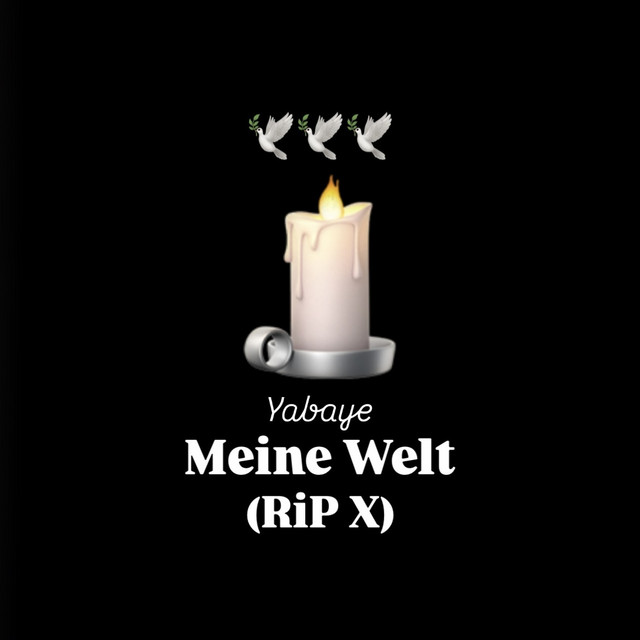 Meine Welt - RiP X