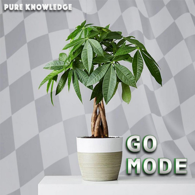 Go Mode cover art