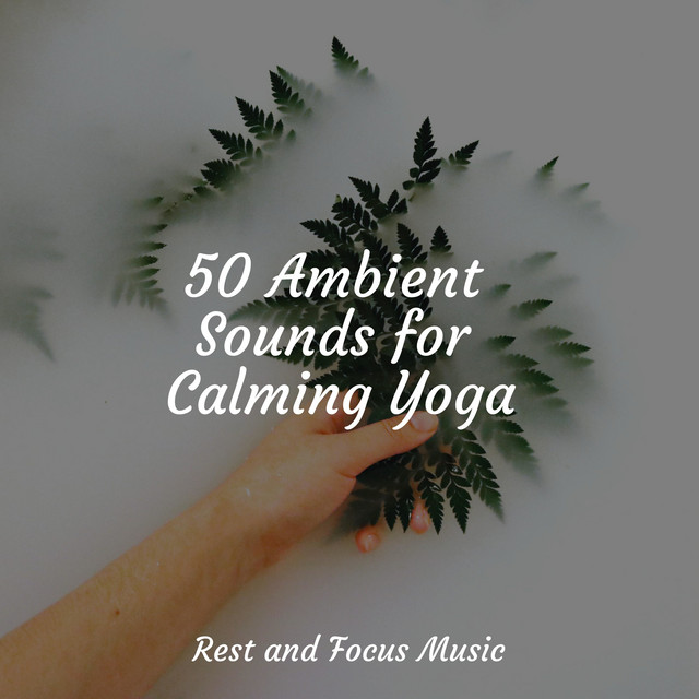 50 Ambient Sounds for Calming Yoga - Album by Especialistas de Musica ...