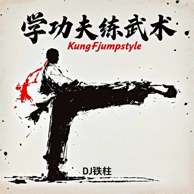 学功夫练武术- Single by DJ铁柱| Spotify