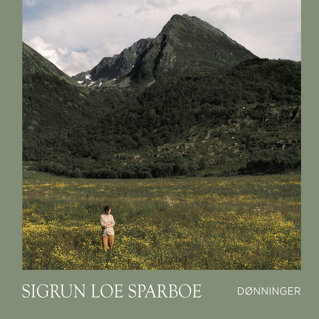 Dønninger cover art