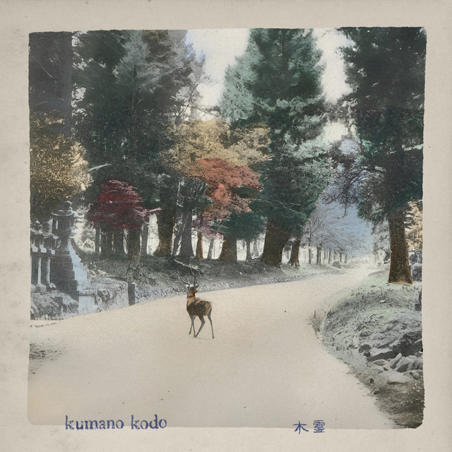 undefined album image