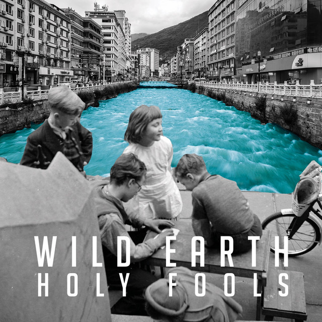 Holy Fools cover art