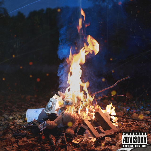 Дотла cover art