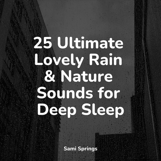 25 Ultimate Lovely Rain & Nature Sounds for Deep Sleep - Album by White ...