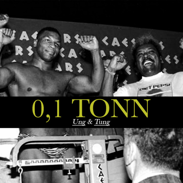0,1 Tonn: Ung & Tung cover art