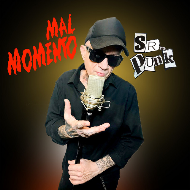 Sr. Punk cover art