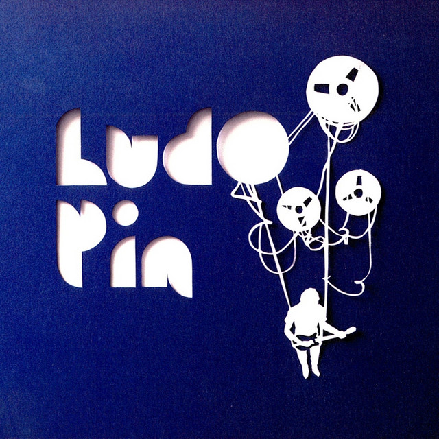 Ludo Pin cover
