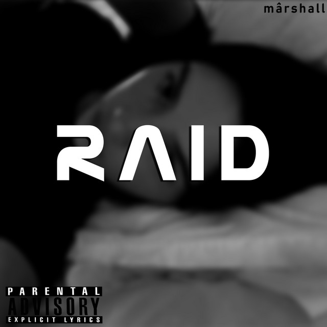 Raid cover art