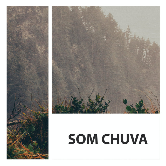 Chuva Barulho cover art