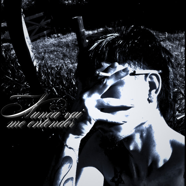 Nunca Vai Me Entender cover art
