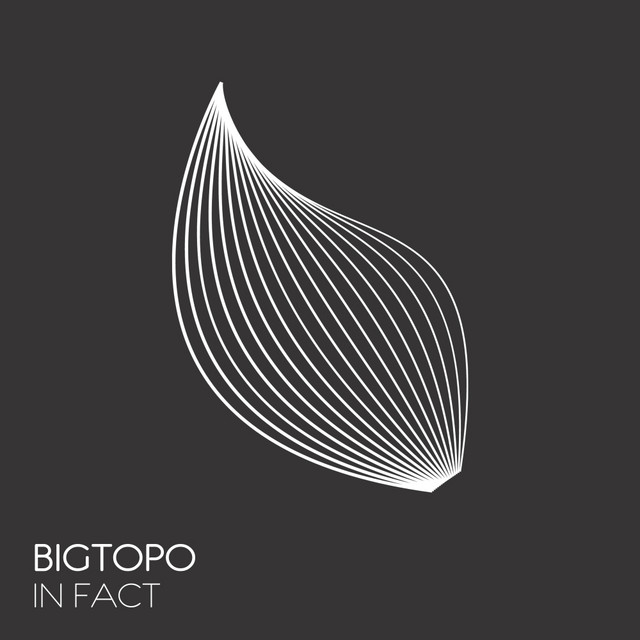 In Fact - Extended Mix album art