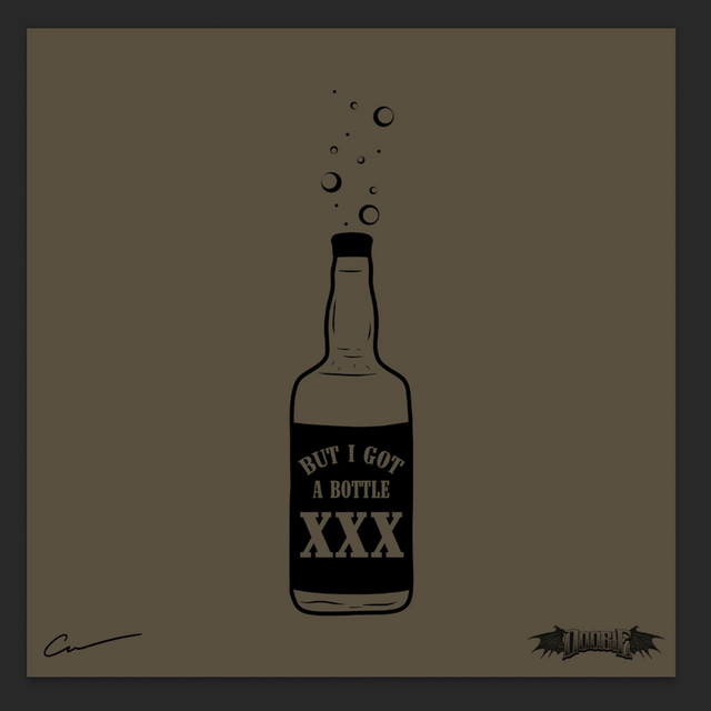 But I Got a Bottle cover art
