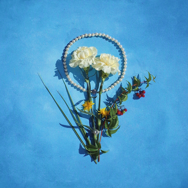 The Gift of Shyne cover art