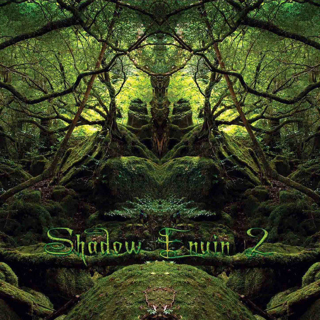 Shadow Enuin, Vol. 2 cover art