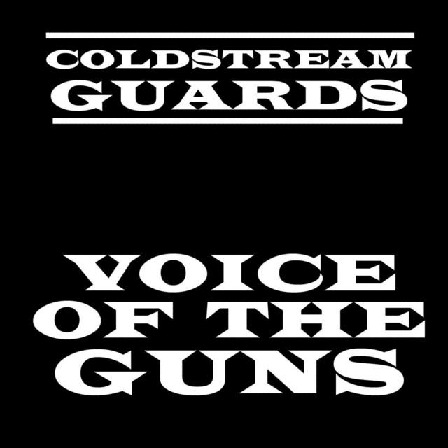 Voice Of The Guns cover art