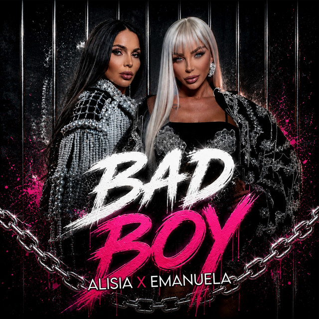 Bad Boys cover art