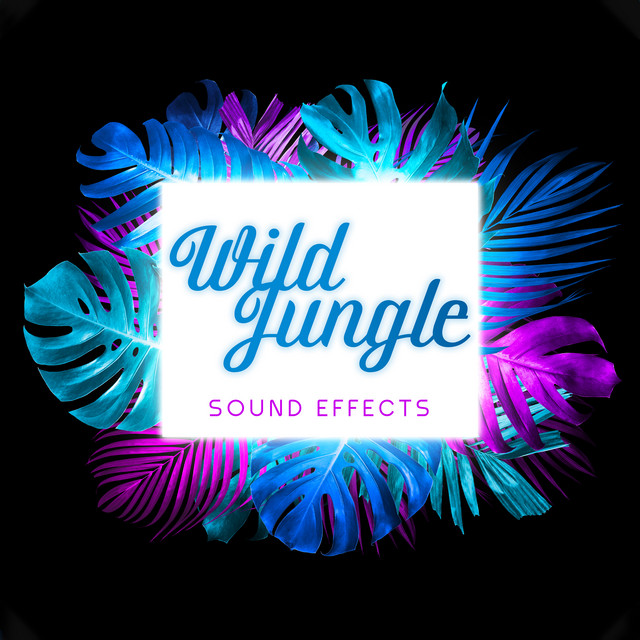Wild Jungle Sound Effects cover art