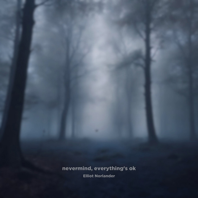 nevermind, everything's ok by Elliot Norlander