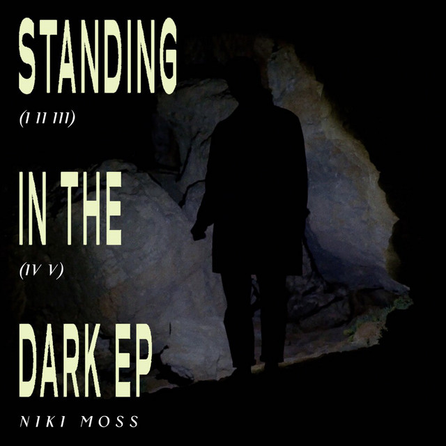 Standing In The Dark III cover