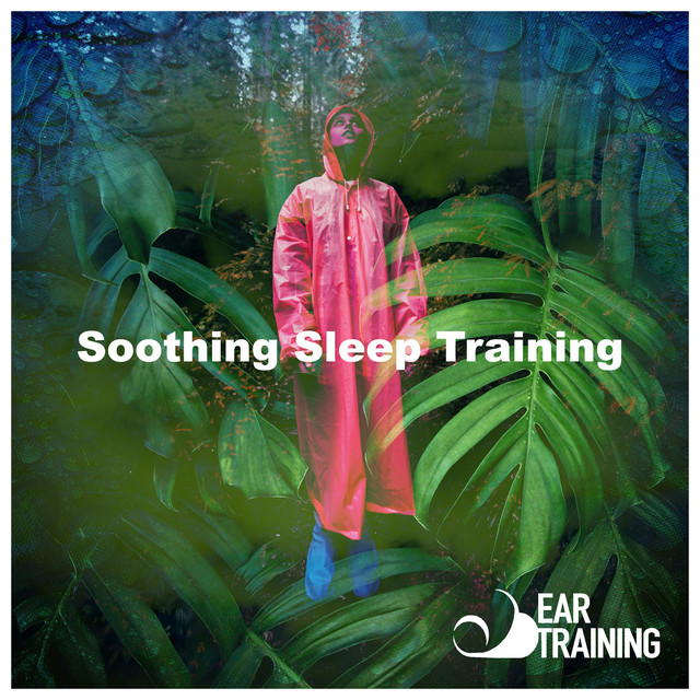 Soothing Sleep Training cover art
