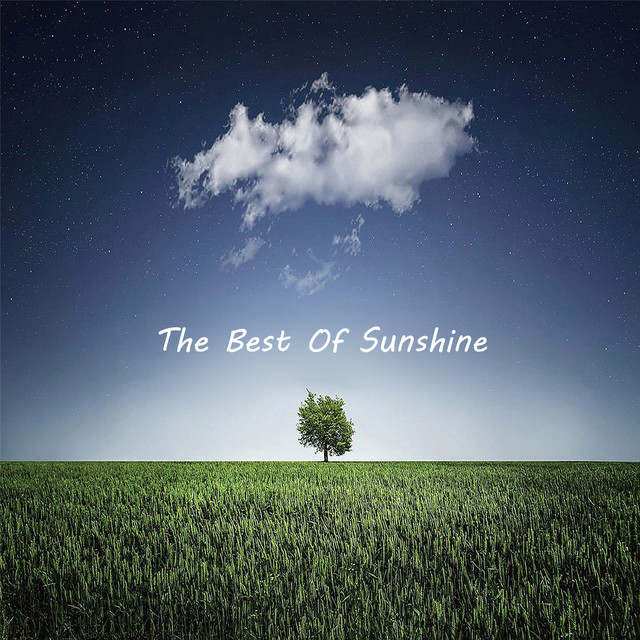 完美的妳 cover art