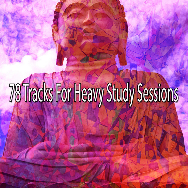 78 Tracks For Heavy Study Sessions cover art