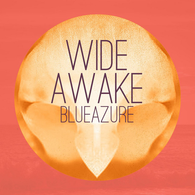 Wide Awake cover art