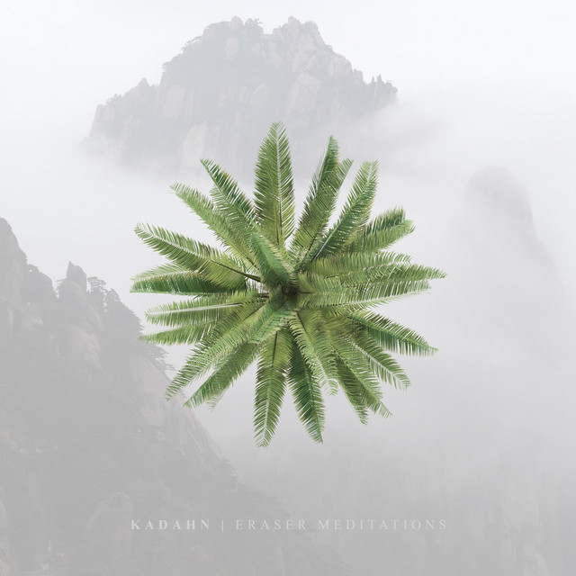 Eraser Meditations cover art