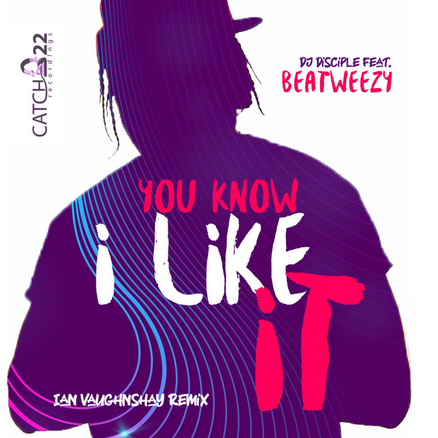 You Know I Like It - Ian Vaughnshay Remix