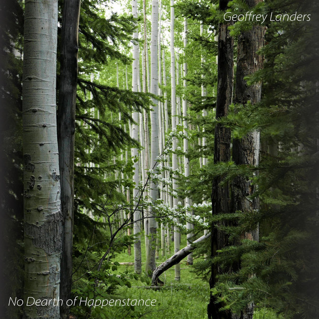 No Dearth of Happenstance cover art