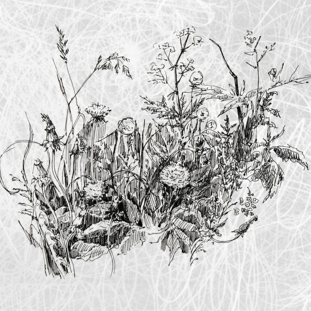 dead2me cover art