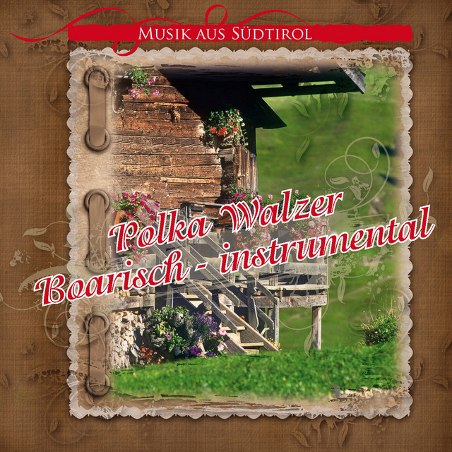 Polka Walzer Boarisch - Instrumental cover