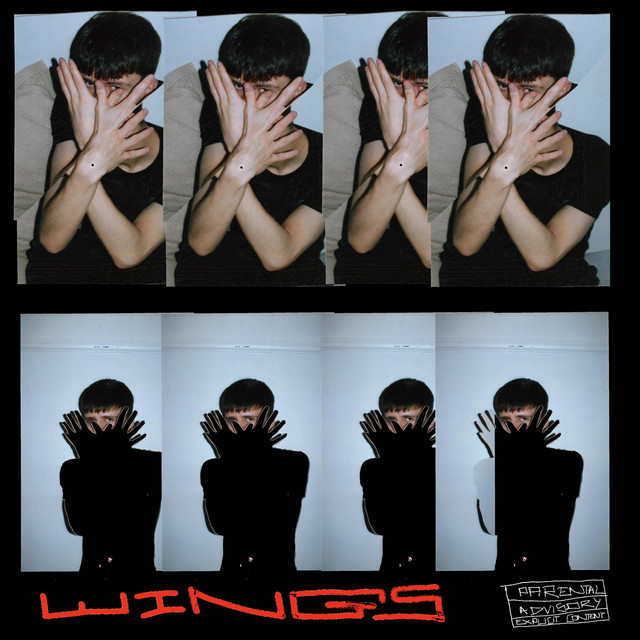 Wings cover art