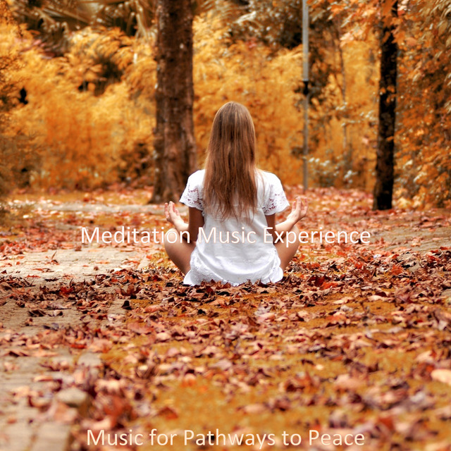 Music for Pathways to Peace - Album by Meditation Music Experience ...