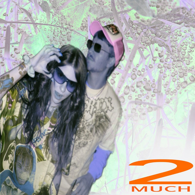 2much - Single by stripmallravestarrr | Spotify