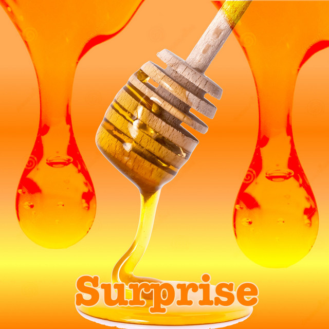 Surprise cover art