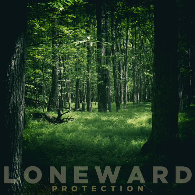 Protection cover art