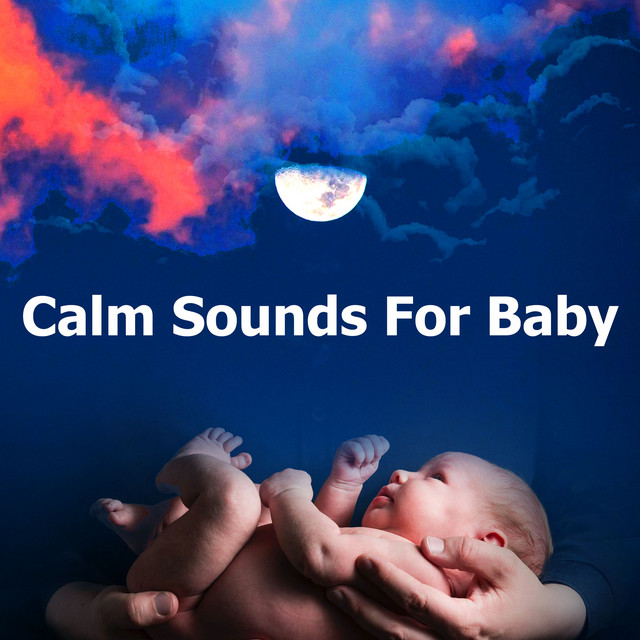 Calm Sounds For Baby Album by White Noise Baby Sleep Music Spotify