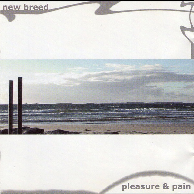 Pleasure & pain cover art