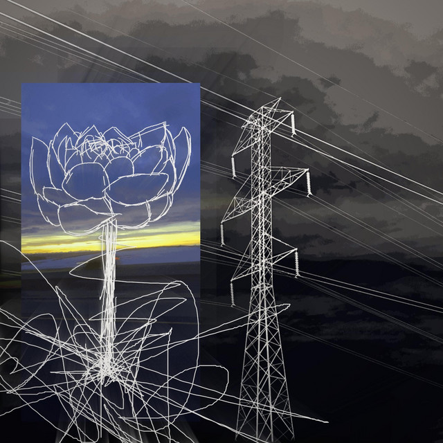 Bound lotus cover art