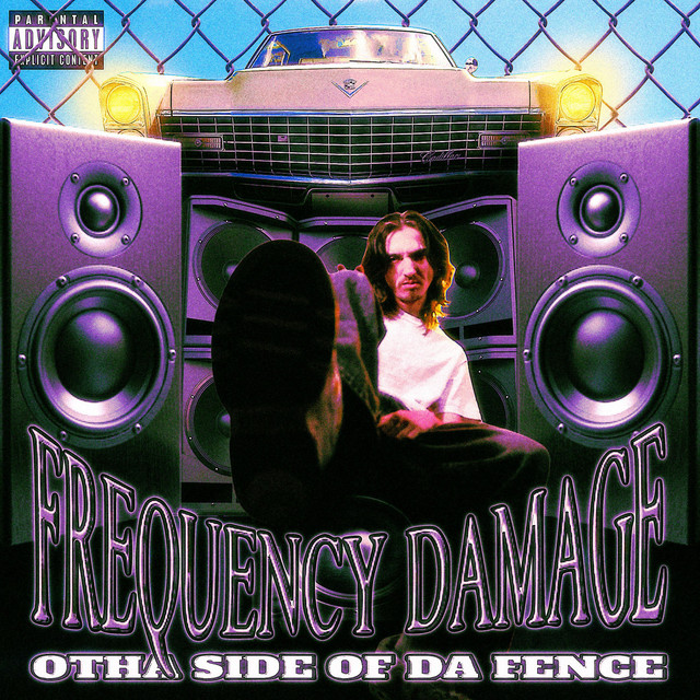 Frequency Damage cover art
