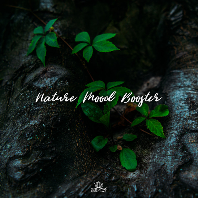 Nature Mood Booster cover art