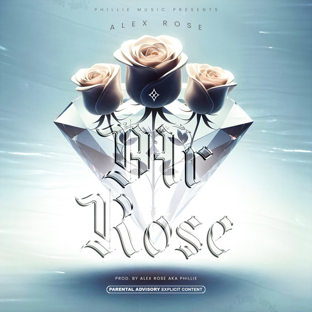MR ROSE