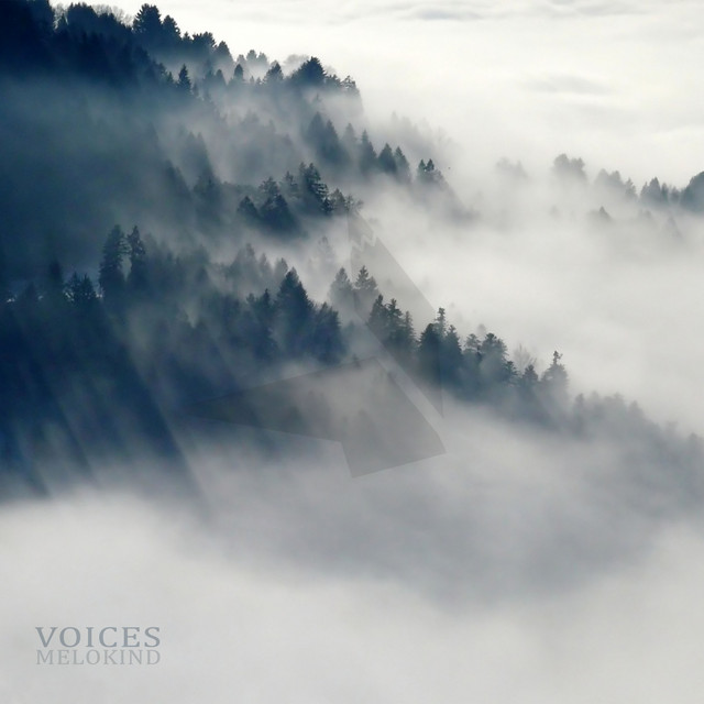 Voices cover art