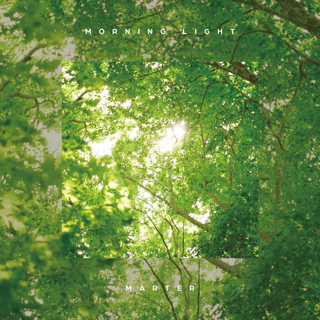 Morning Light cover