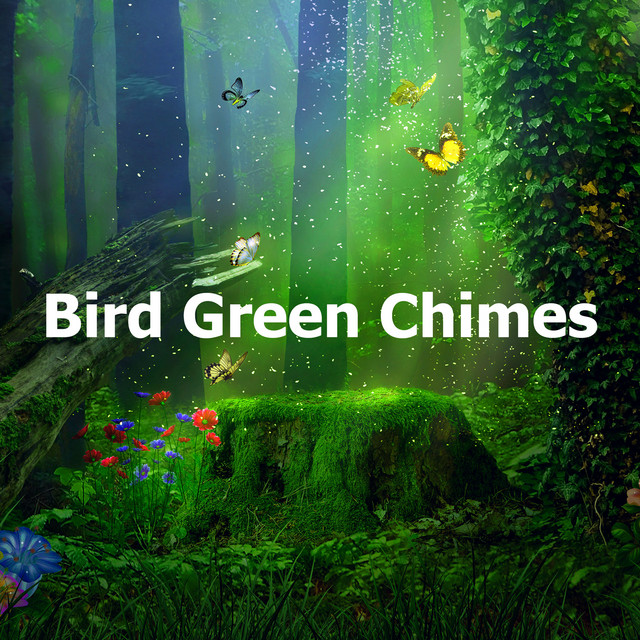 Bird Green Chimes - Album by Pro Sound Effects Library | Spotify