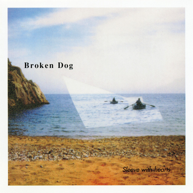 Sleeve With Hearts cover art