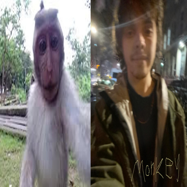 Monkey 4 [