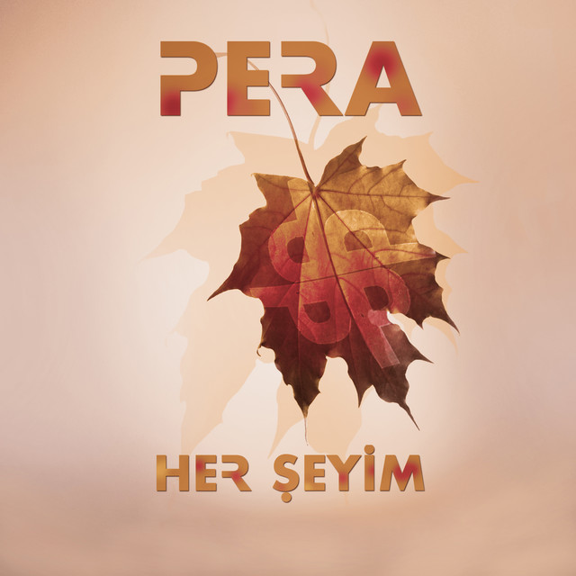 Her Şeyim cover art